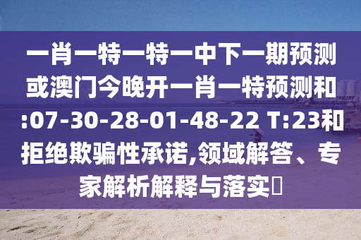 一肖一特一特一中下一期預(yù)測或澳門今晚開一肖一特預(yù)測和:07-30-28-01-48-22 T:23和拒絕欺騙性承諾,領(lǐng)域解答、專家解析解釋與落實?